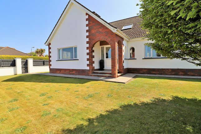 Thumbnail Detached house for sale in Gowland Road, Portavogie, Newtownards, County Down