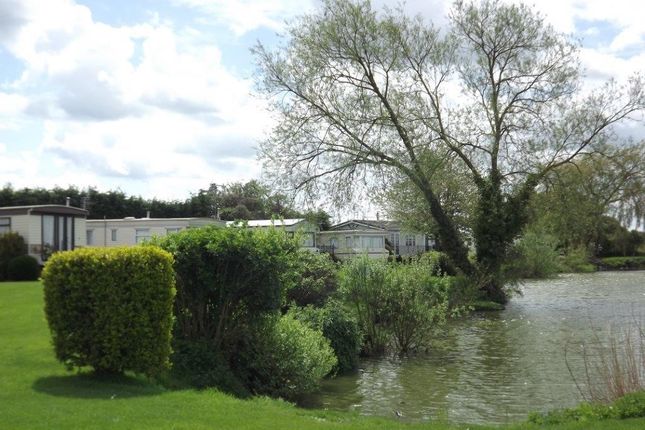 Thumbnail Mobile/park home for sale in Bedford Bank, Welney, Wisbech