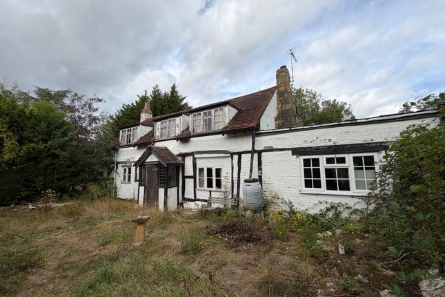 The Slinget, Stratford-upon-avon photo 3