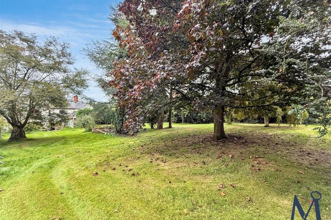 93, Zion Hill, Coalville photo 4