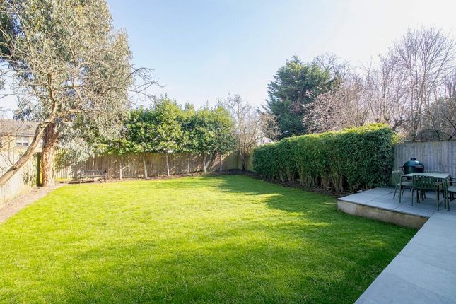 Garden Update 2 Angle.Jpg