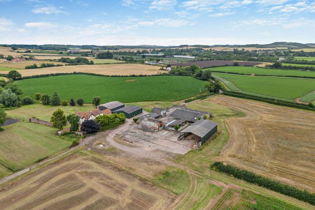 Thumbnail Land for sale in Blackmore Lane, Cannington, Bridgwater, Somerset