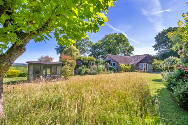 Garden Cottage,, Boars Head, East Sussex photo 2