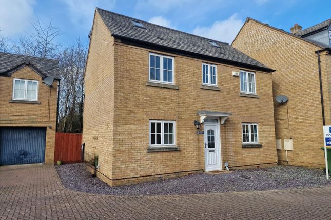 Thumbnail Detached house for sale in Sandpiper Close, Rugby
