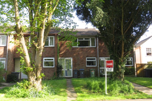 Thumbnail Property to rent in Elmbank, Southam
