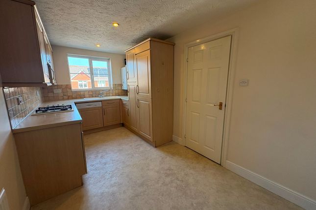 40, Exeter photo 3