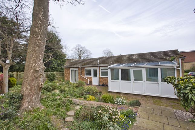 Detached bungalow for sale in Lord Warden Avenue, Walmer