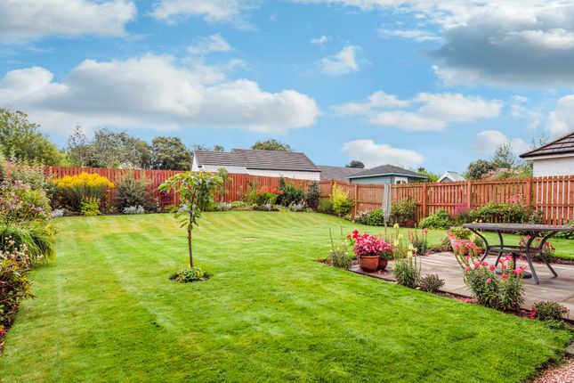 12, David Farquharson Road, Blairgowrie photo 3
