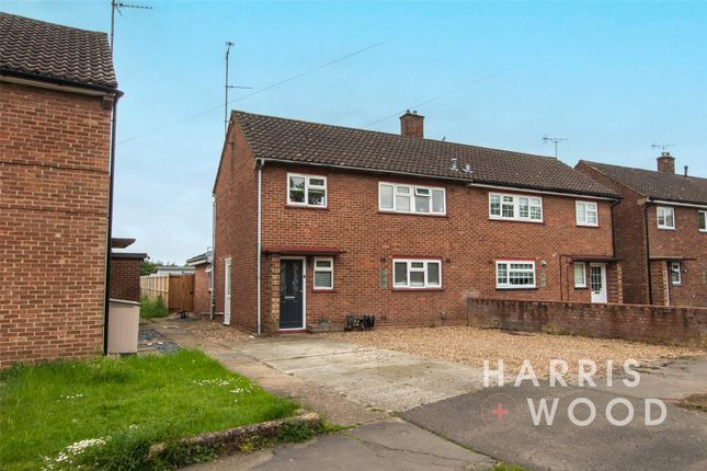 Thumbnail Semi-detached house for sale in Walnut Tree Way, Colchester, Essex