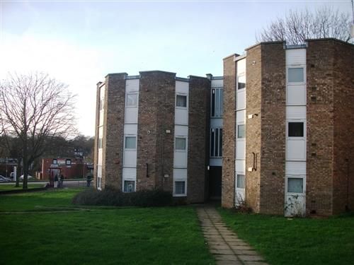 Thumbnail Flat to rent in Ellfield Court, Abington, Northampton