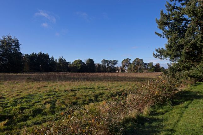 Land