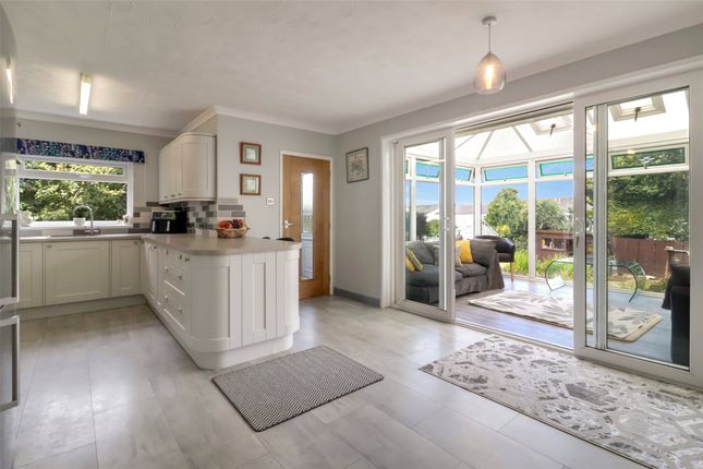 15, Highfield, Bideford photo 3