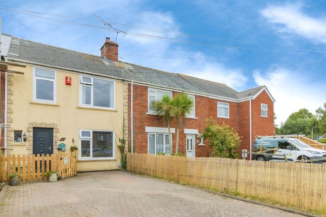 Thumbnail Terraced house for sale in Savile Road, Exeter