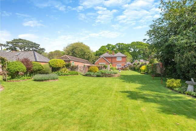 Thumbnail Detached house for sale in Winchester Road, Botley, Hampshire