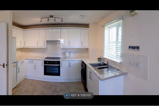 Jubilee Green, Papworth Everard, Cambridge photo 4