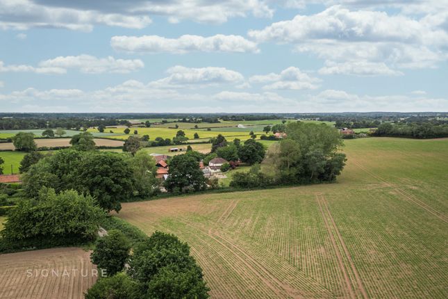 Pond Farm House, The Hill, Norwich photo 4