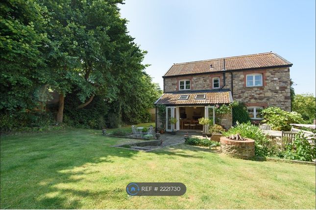 View From End Of Garden