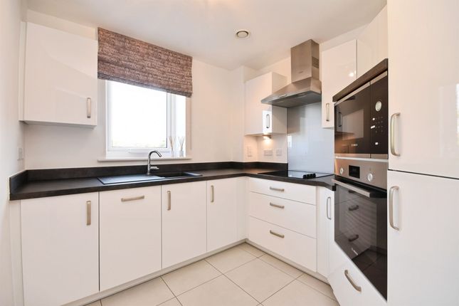 57, Miami House, Princes Road, Chelmsford photo 3