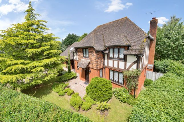 Thumbnail Detached house for sale in Watsons Close, Ashford