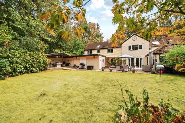 2 Fellside Cottages,, Elm Corner, Surrey photo 3