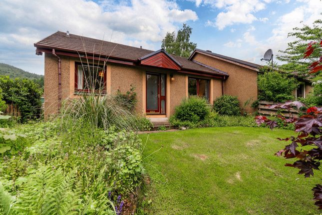 Thumbnail Semi-detached bungalow for sale in 28 Stell Park Road, Birnam
