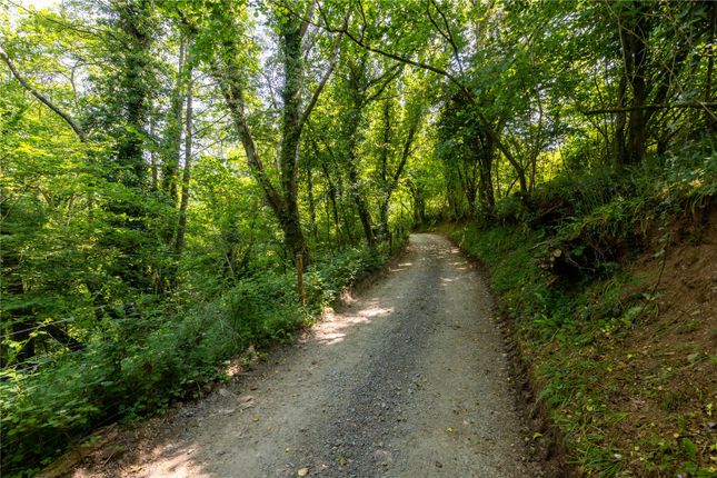 Land for sale in Woodland West Of Roborough, Tamerton Foliot, Plymouth