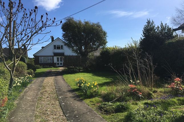 Homes For Sale In Winchelsea Beach Buy Property In Winchelsea