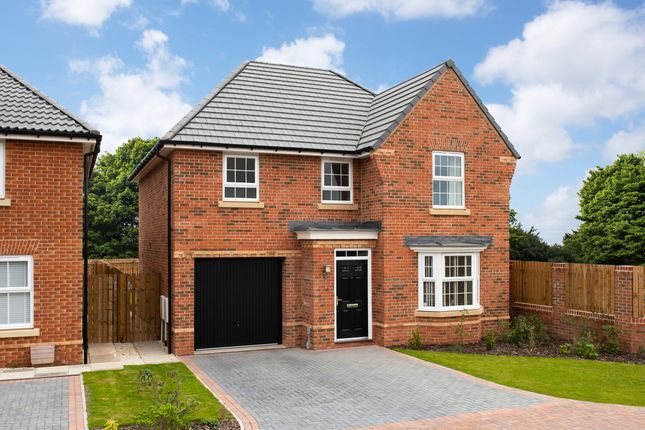 Thumbnail Detached house for sale in "Millford" at Clayson Road, Overstone, Northampton