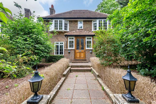 Thumbnail Detached house to rent in The Green, Hove, East Sussex
