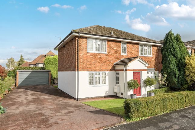 Driveway &amp; Garage