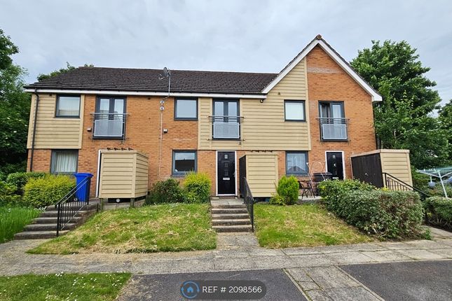 Thumbnail Terraced house to rent in Oxclose Park Rise, Halfway, Sheffield