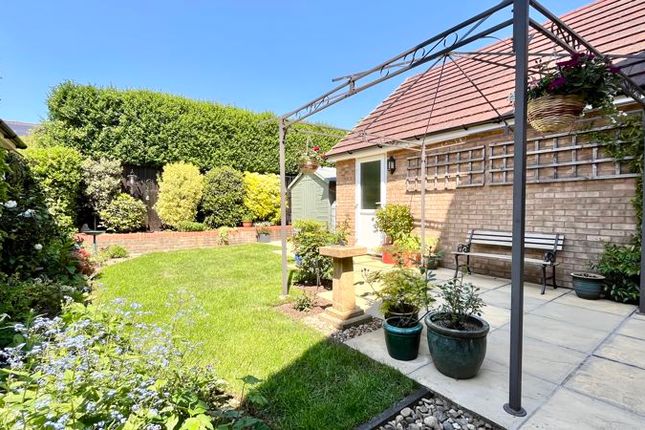 37, Toll House Way, Chard photo 2