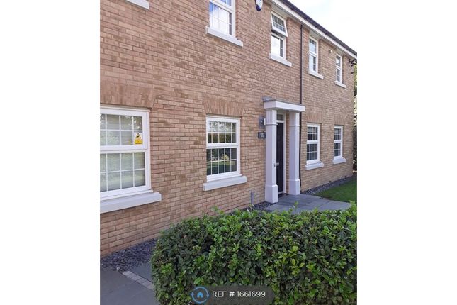 Thumbnail Detached house to rent in Knight Road, Rendlesham