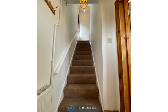 Hall /Stairwell