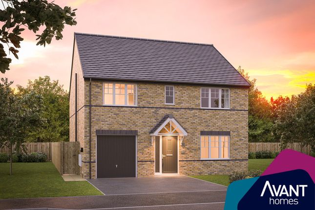 Thumbnail Detached house for sale in "The Bilbrough" at Land Off Round Hill Avenue, Ingleby Barwick