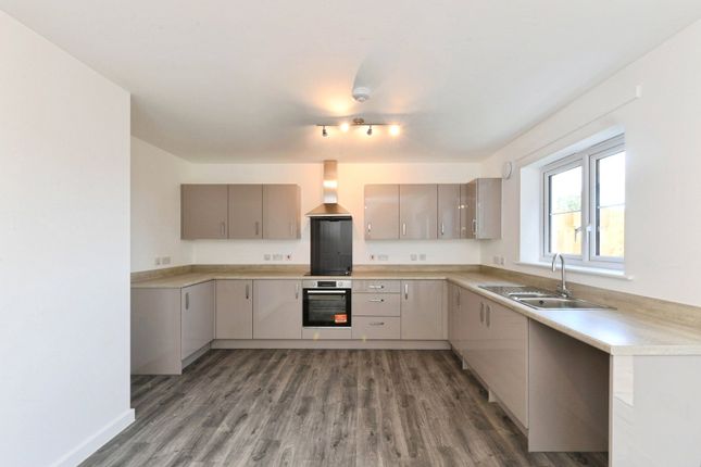 75% Plot 9 Foxes Field, 9, Rosemoor Road, Penzance photo 4
