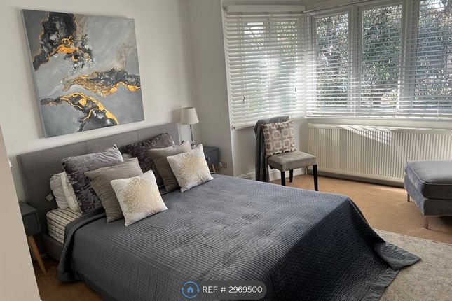 The Vale, London photo 2