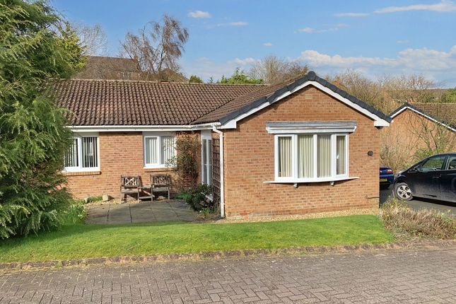 Thumbnail Bungalow for sale in Springfield Park, Alnwick