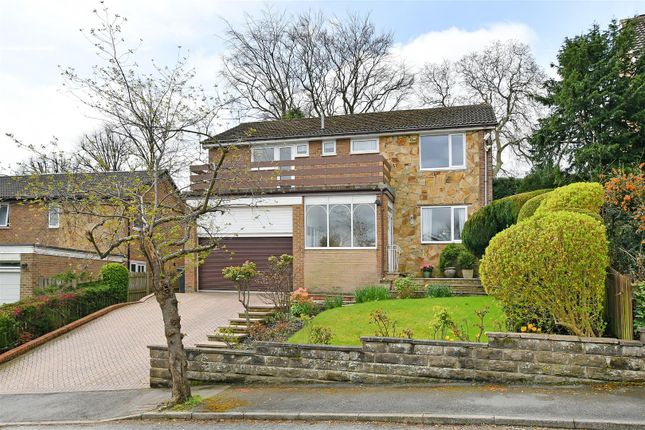 Thumbnail Detached house for sale in Silverdale Close, Ecclesall