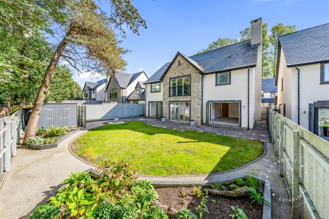 The Paddock (31).Jpg