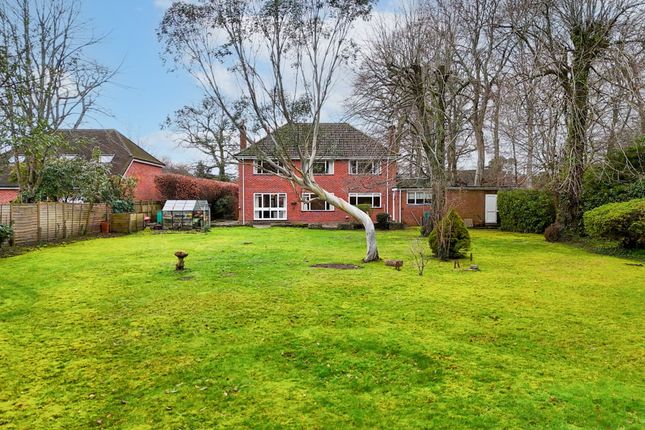 Chilbolton, Whinwhistle Road, Romsey photo 3