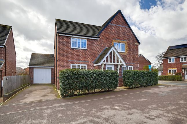 23 Mantella Drive, Hereford photo 2