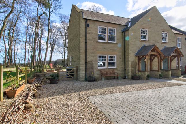 Thumbnail Semi-detached house for sale in Hebron Hill, Morpeth