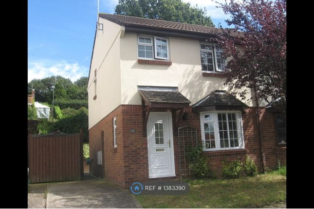 3 bed semi-detached house to rent in Gronau Close, Honiton EX14