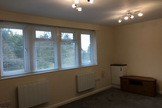 11a, Eaton Green Road, Luton photo 4