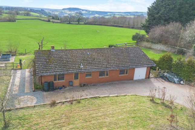 Thumbnail Bungalow for sale in Garway, Hereford, Herefordshire