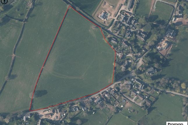 Promap-3211005-3307408.Jpg
