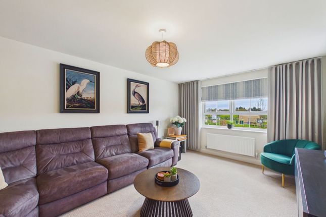 6, Corncrake Drive, Whitby photo 3