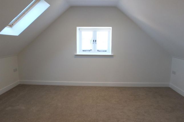 S0723961.Jpg