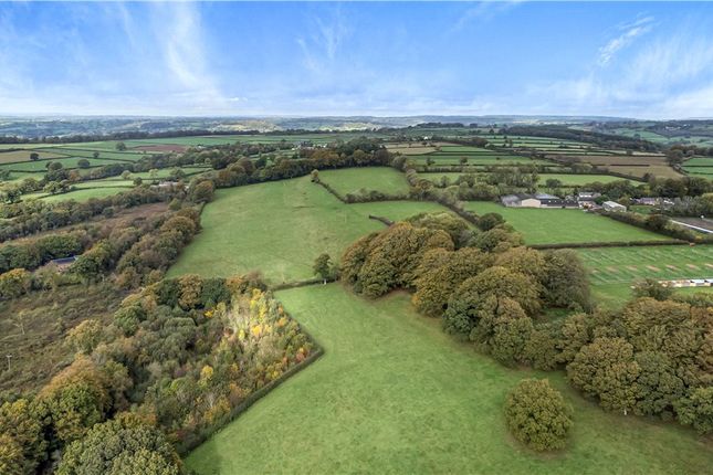 Land for sale in Cotleigh, Honiton, Devon